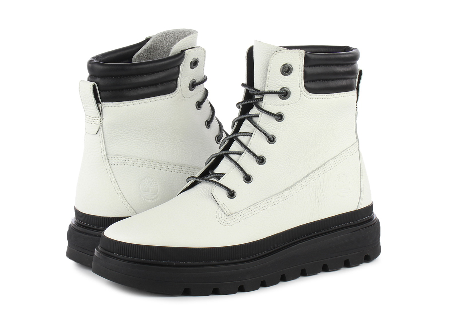 ray city 6 in boot wp
