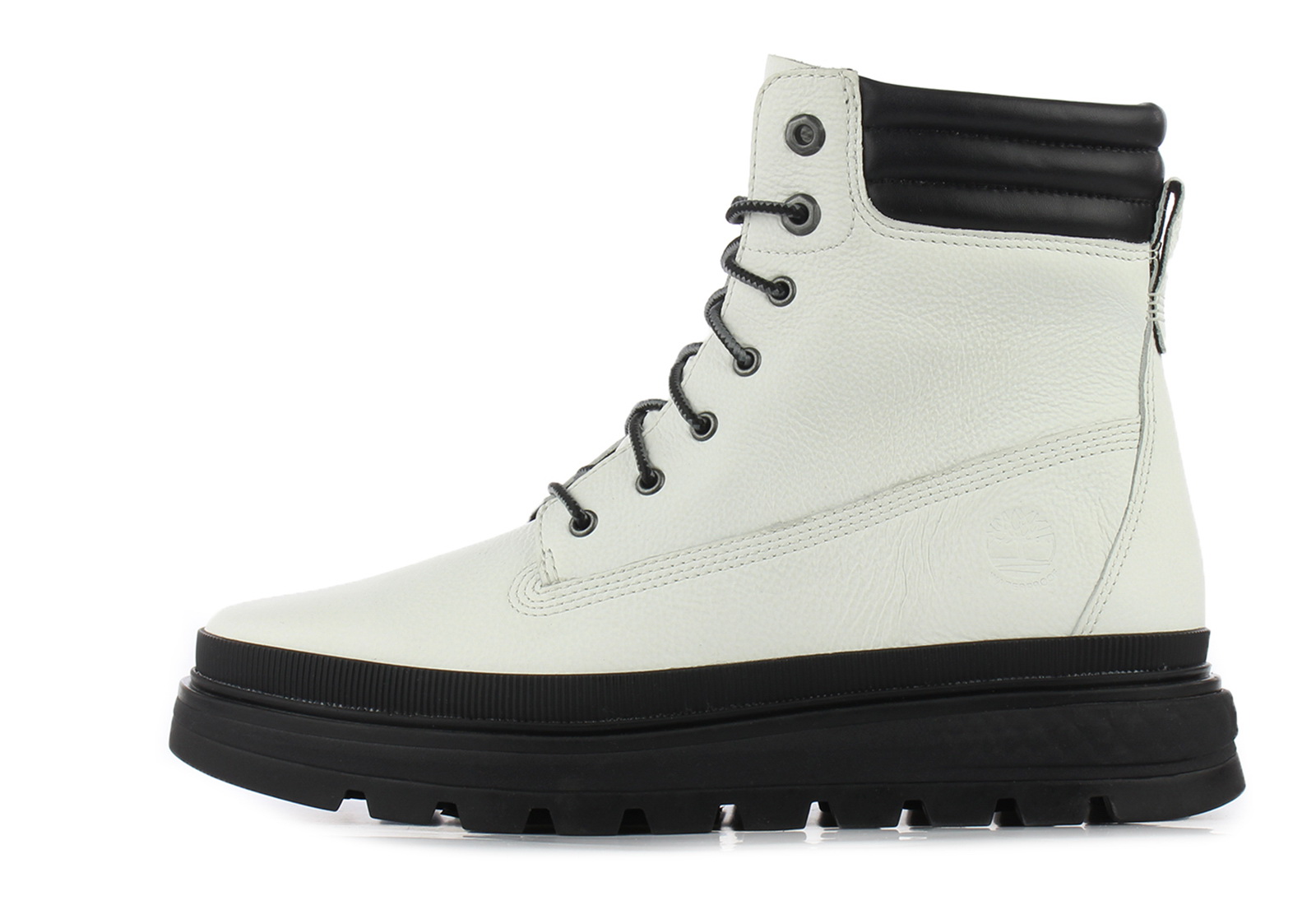 ray city 6 in boot wp